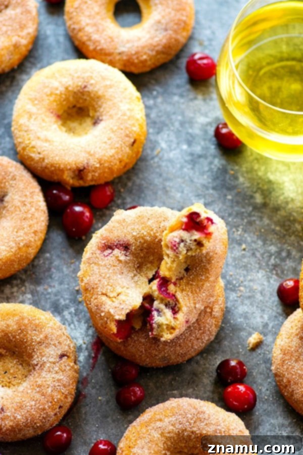 Tangy Cranberry Apple Cider Donuts 5 Cranberry Baked Apple Cider Donuts with a dusting of cinnamon sugar