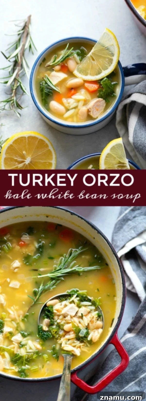 Overhead shot of Turkey Orzo Kale White Bean Soup in a bowl, with garnishes and a spoon.