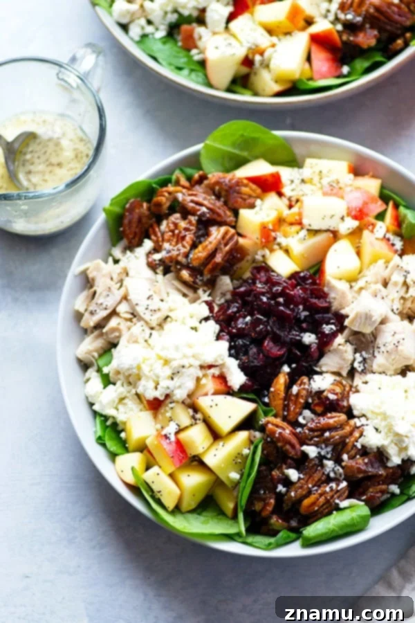 The Golden Harvest Turkey & Candied Pecan Salad 5 A serving of the delicious candied pecan turkey cranberry apple spinach salad, ready to eat.