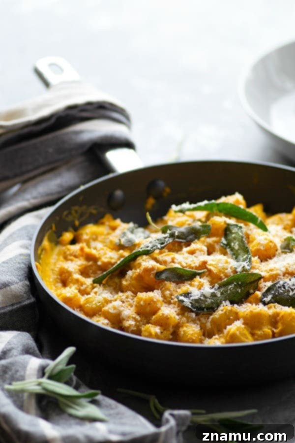 Golden Pumpkin Gnocchi with Asiago Sage Cream 4 Loaded with pumpkin flavor, sharp Asiago cheese, and crispy fried sage, this creamy pumpkin alfredo gnocchi comes together in only 35 minutes and is the perfect festive fall side dish!