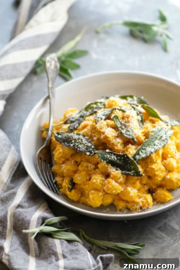 Golden Pumpkin Gnocchi with Asiago Sage Cream 5 Loaded with pumpkin flavor, sharp Asiago cheese, and crispy fried sage, this creamy pumpkin alfredo gnocchi comes together in only 35 minutes and is the perfect festive fall side dish!