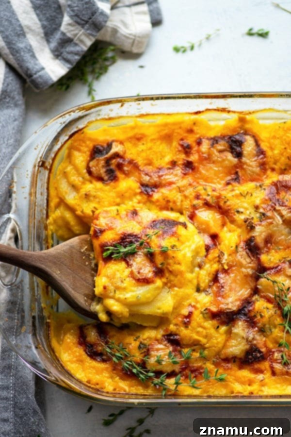 Flavorful roasted garlic and gooey brie cheese join forces in these insanely comforting butternut squash scalloped potatoes.--Less cream and lighter on the calories thanks to the butternut squash!