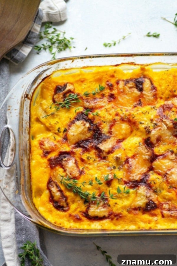 Flavorful roasted garlic and gooey brie cheese join forces in these insanely comforting butternut squash scalloped potatoes.--Less cream and lighter on the calories thanks to the butternut squash!