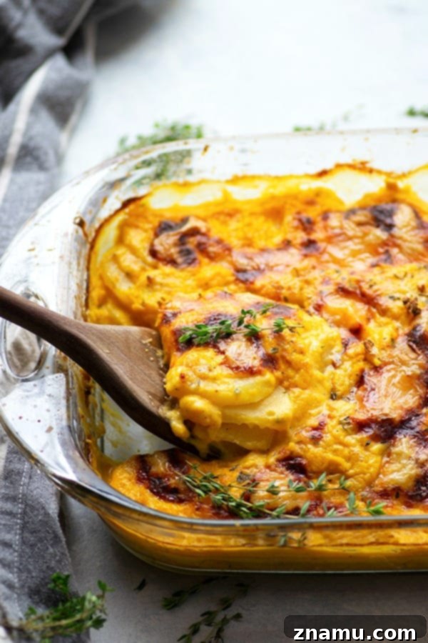 Flavorful roasted garlic and gooey brie cheese join forces in these insanely comforting butternut squash scalloped potatoes.--Less cream and lighter on the calories thanks to the butternut squash!