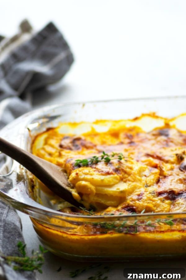 Flavorful roasted garlic and gooey brie cheese join forces in these insanely comforting butternut squash scalloped potatoes.--Less cream and lighter on the calories thanks to the butternut squash!