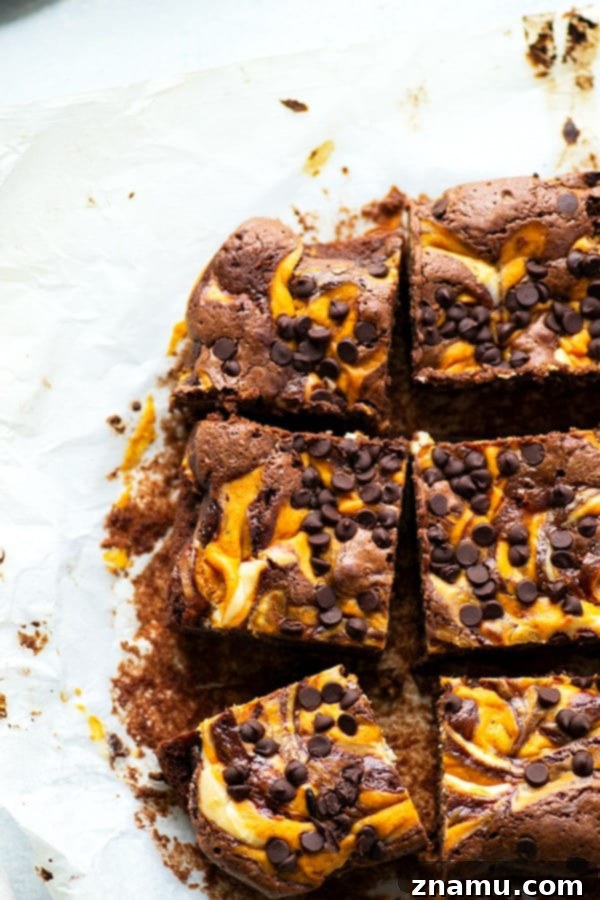 Swirled Pumpkin Cheesecake Brownies 4 Several pumpkin cheesecake brownies on a cooling rack, showcasing the swirl.