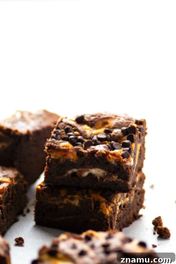 Swirled Pumpkin Cheesecake Brownies 5 Close-up of a perfectly sliced pumpkin cheesecake brownie.