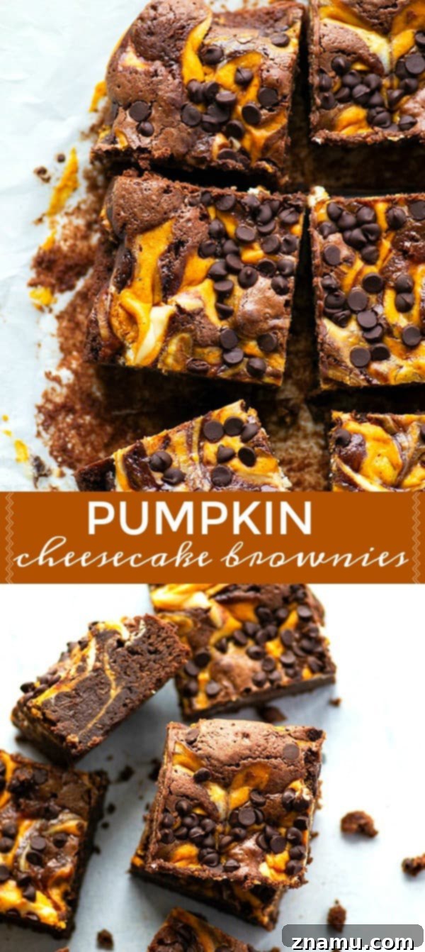Swirled Pumpkin Cheesecake Brownies 6 Pumpkin Cheesecake Brownies stacked on a plate, ready to be served.
