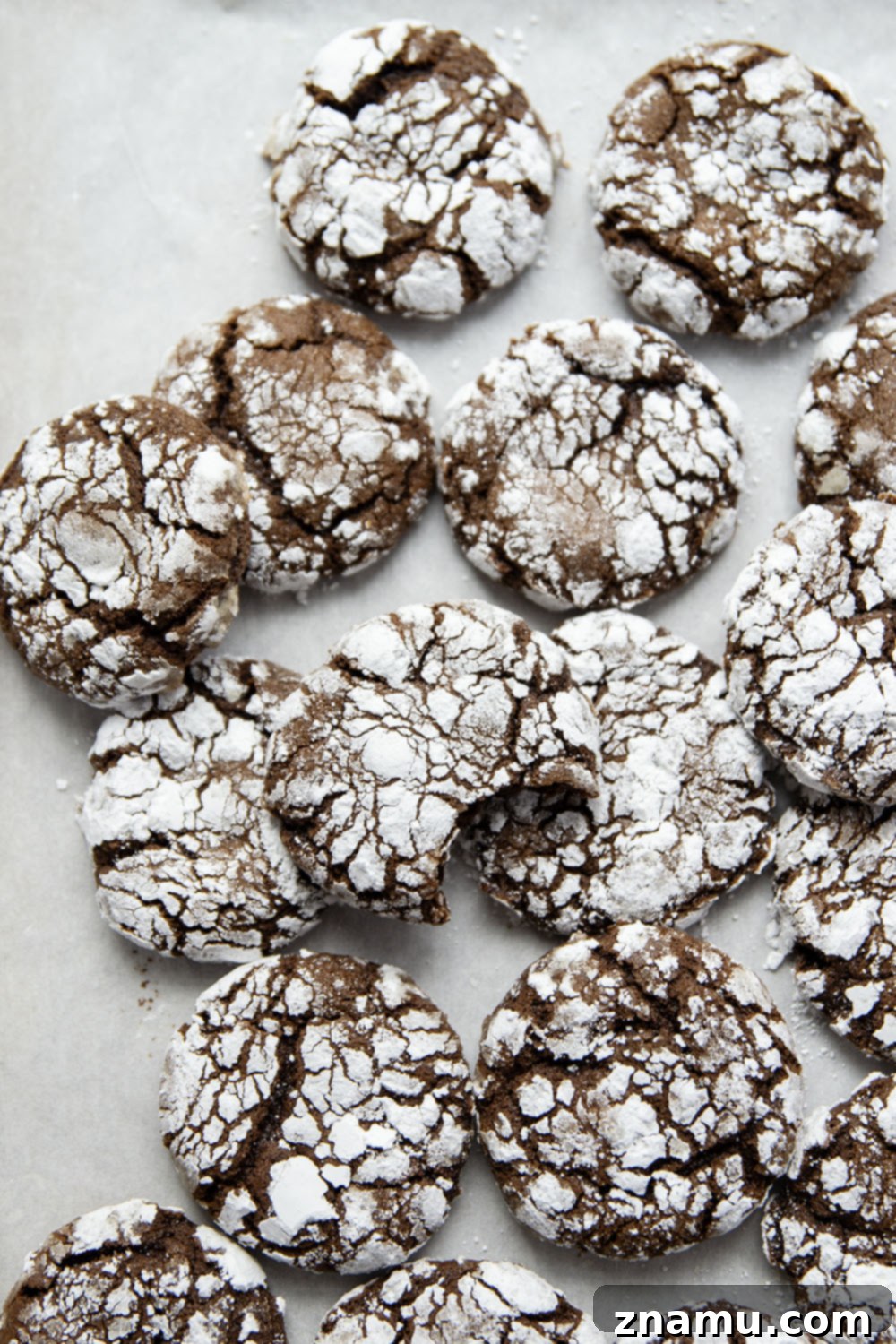Deep Chocolate Molasses Crinkles 3 A stack of delicious chocolate molasses crinkle cookies, highlighting their soft texture and sugary coating.