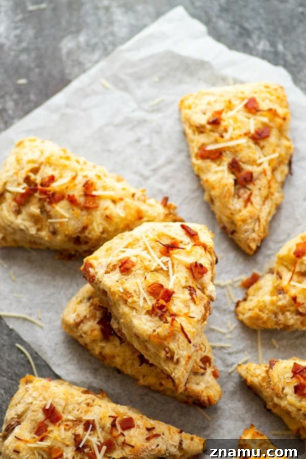 Freshly baked Asiago Caramelized Onion Bacon Scones on a baking sheet, cooling slightly before serving, highlighting their warm, inviting appearance.