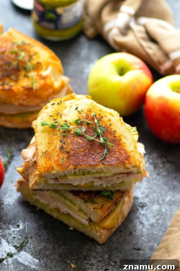 Harvest Turkey Panini with Apple, Gouda, and Pesto 2 Turkey panini is layered with hearty turkey slices, crunchy apples, flavorful pesto, and gooey gouda cheese for one showstopper sandwich! -- this is the perfect panini for turkey leftovers!
