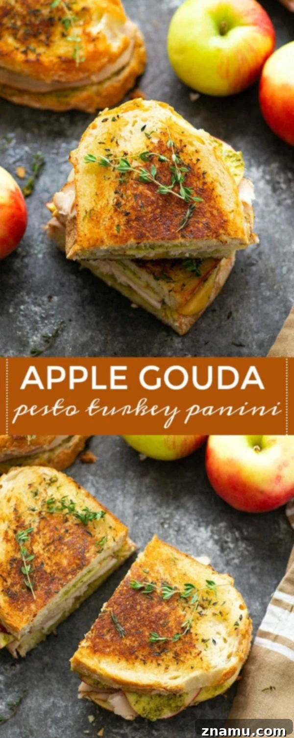Harvest Turkey Panini with Apple, Gouda, and Pesto 6 Turkey panini is layered with hearty turkey slices, crunchy apples, flavorful pesto, and gooey gouda cheese for one showstopper sandwich! -- this is the perfect panini for turkey leftovers!