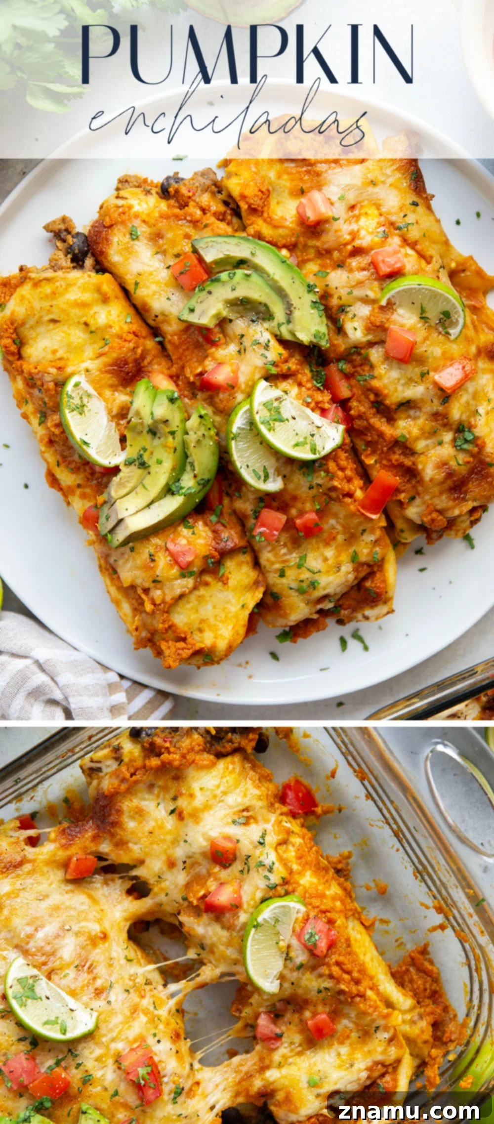 Golden Pumpkin Enchiladas 7 Overhead shot of a plate with two pumpkin enchiladas, generously topped with avocado, tomato, and cilantro.