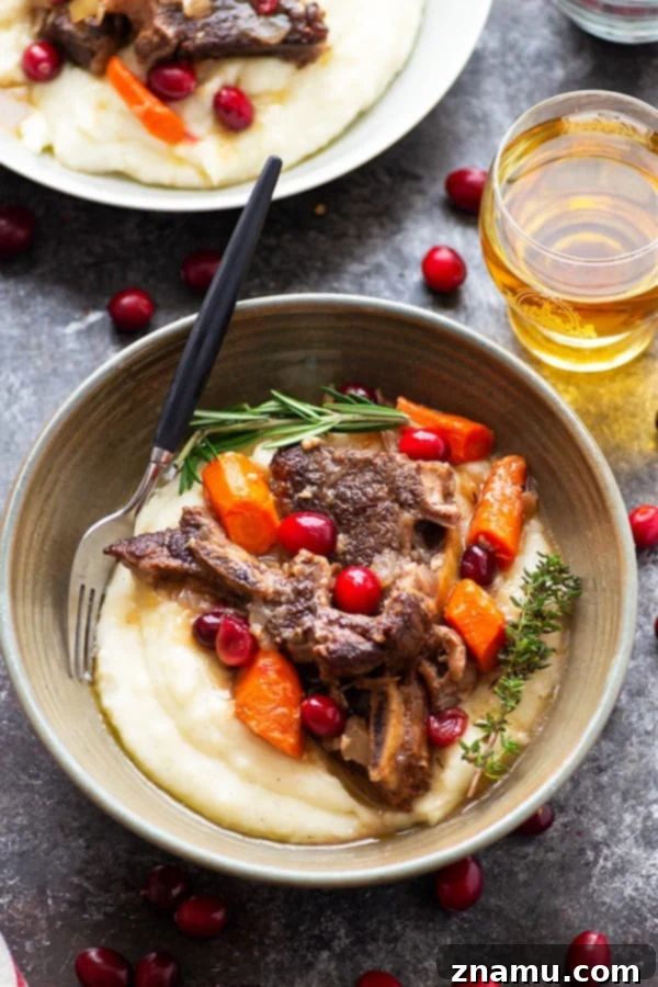 Autumn Harvest Short Ribs with Cranberry Apple Cider Braise 2 A warm bowl of apple cider braised beef short ribs with cranberries and carrots, perfect for a cozy holiday dinner.