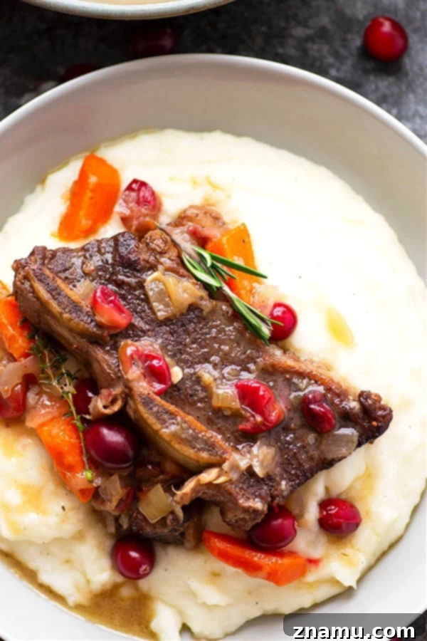 Autumn Harvest Short Ribs with Cranberry Apple Cider Braise 5 Plated apple cider braised beef short ribs with a rich gravy and creamy mashed potatoes, garnished with fresh herbs.