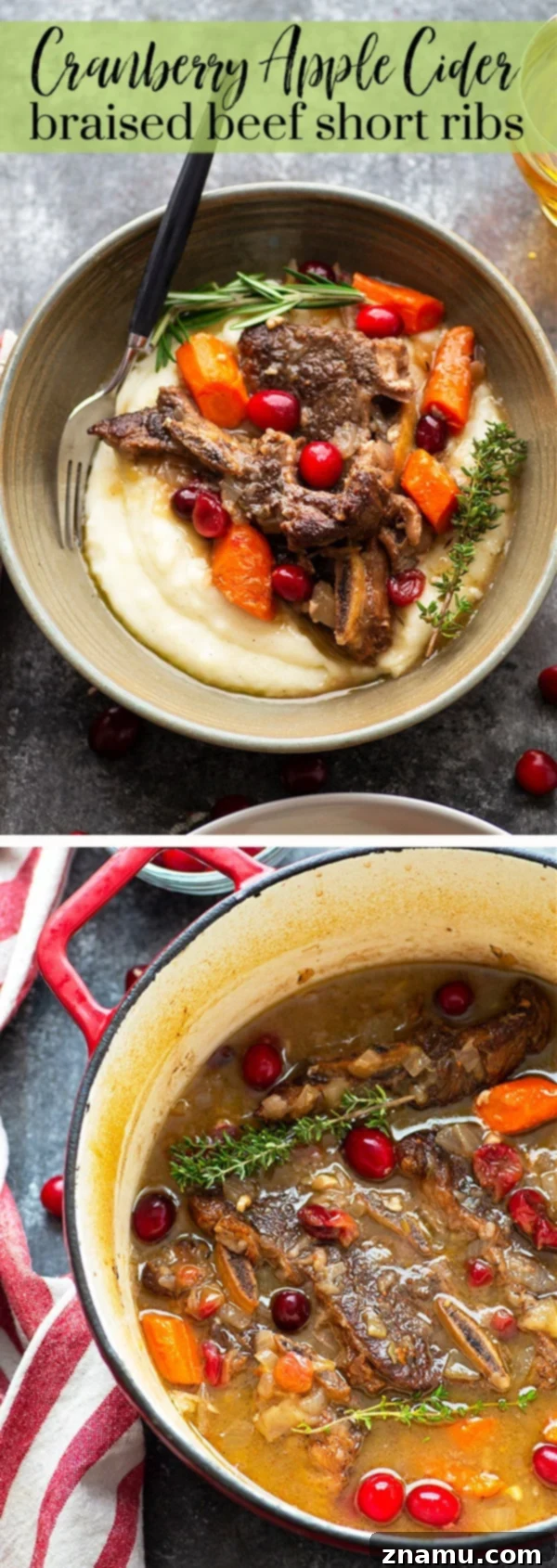Autumn Harvest Short Ribs with Cranberry Apple Cider Braise 6 An inviting spread of braised beef short ribs with a side dish, suitable for a festive holiday meal.