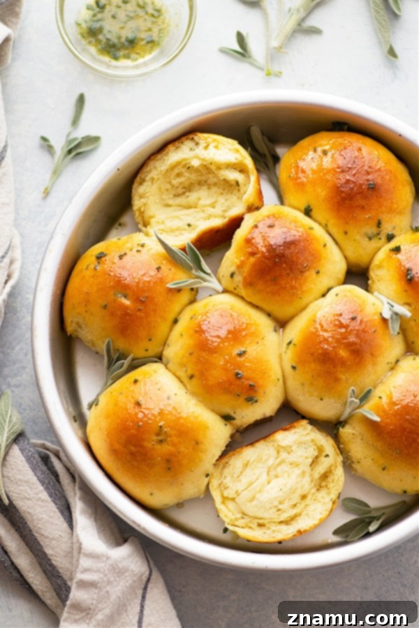 Soft Milk Bread Rolls with Honey Sage Butter 2 Japanese Milk Bread Rolls with Honey Sage Butter, a close-up shot showing their golden-brown exterior and soft texture.