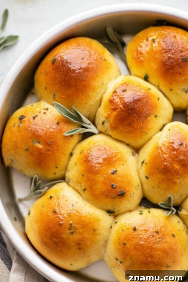 Soft Milk Bread Rolls with Honey Sage Butter 4 A close-up of a single Japanese Milk Bread Roll, showing its delicate crumb and fluffy interior, ready to be pulled apart.