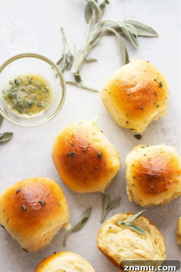 Soft Milk Bread Rolls with Honey Sage Butter 5 A close-up of a Japanese Milk Bread Roll being pulled apart, showcasing its incredibly soft and fluffy interior texture.