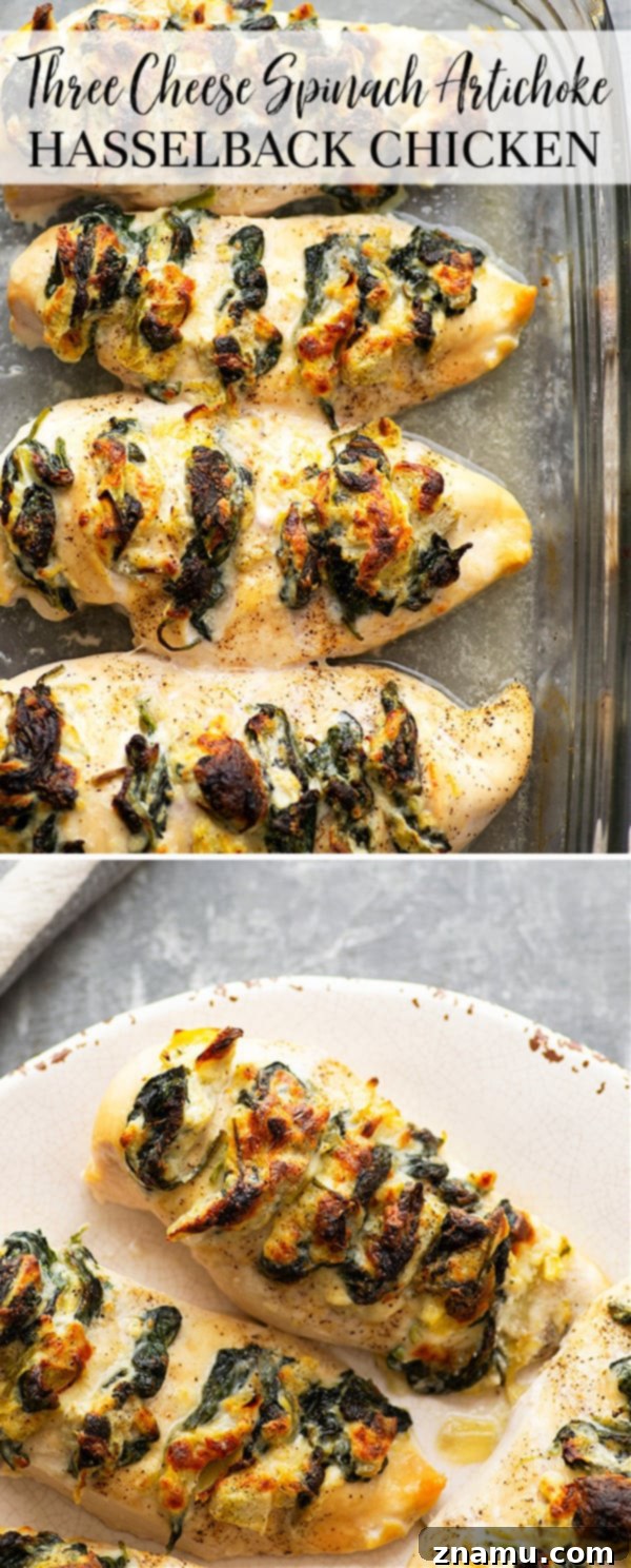 Triple Cheese Spinach Artichoke Hasselback Chicken 6 Stuffed with three different cheeses and a garlicky spinach artichoke filling, this hasselback chicken is a breeze to whip up and the perfect way to elevate chicken breasts for dinner!
