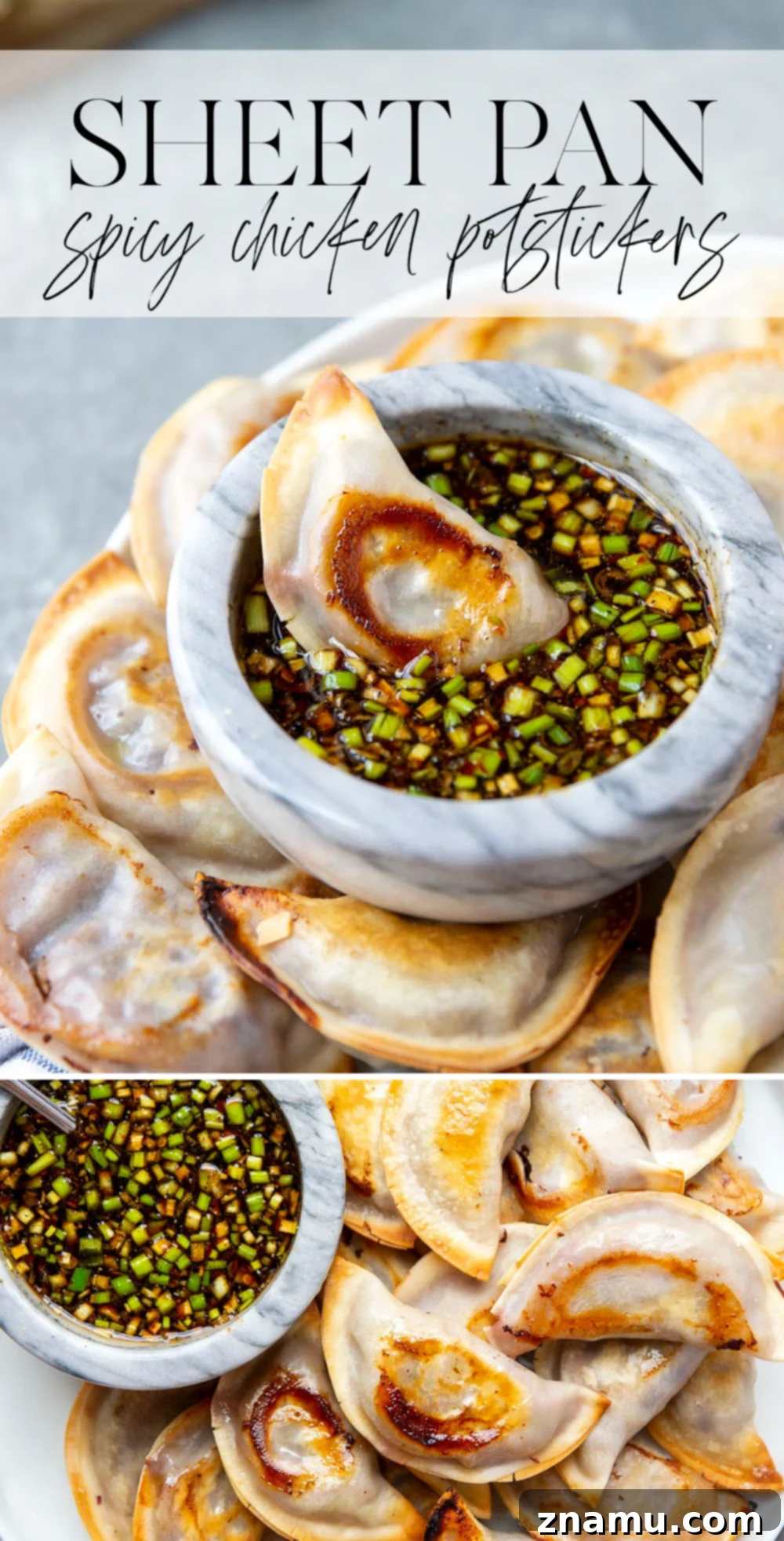 A final shot of a beautifully presented dish of Sheet Pan Spicy Chicken Potstickers and dipping sauce.