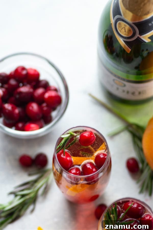 Close-up of a Poinsettia cocktail featuring champagne bubbles and a vibrant cranberry hue, with an orange slice garnish.