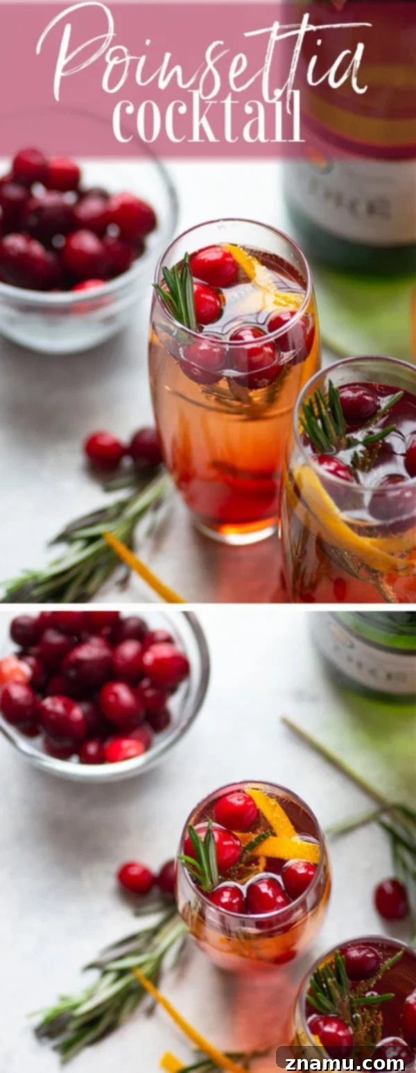 A festive Poinsettia cocktail in a crystal flute, adorned with rosemary and cranberries, ready for holiday celebrations.