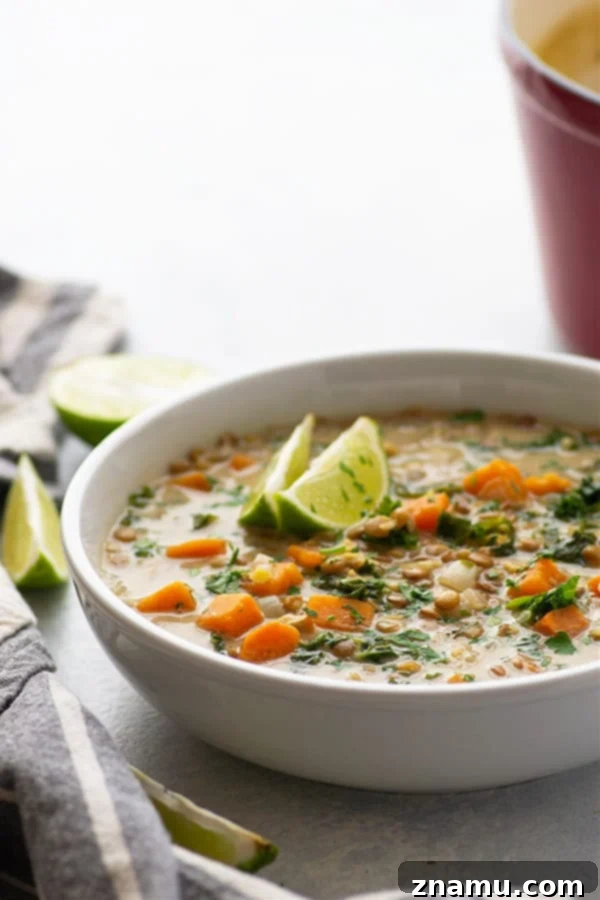 Nourishing Sweet Potato & Kale Coconut Curry Lentil Soup 3 This cozy coconut curry lentil soup features tender sweet potatoes, soft lentils, and wilted kale in an incredibly flavorful creamy coconut curry broth. - so easy to prepare and completely vegan!
