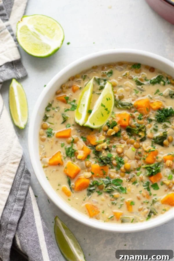 Nourishing Sweet Potato & Kale Coconut Curry Lentil Soup 4 This cozy coconut curry lentil soup features tender sweet potatoes, soft lentils, and wilted kale in an incredibly flavorful creamy coconut curry broth. - so easy to prepare and completely vegan!