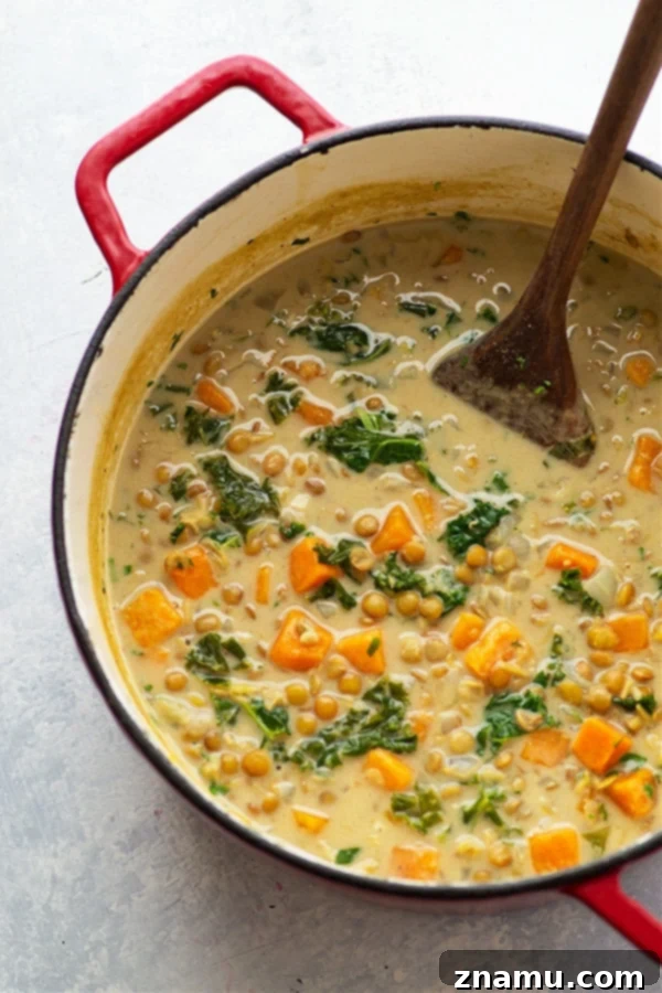 Nourishing Sweet Potato & Kale Coconut Curry Lentil Soup 5 This cozy coconut curry lentil soup features tender sweet potatoes, soft lentils, and wilted kale in an incredibly flavorful creamy coconut curry broth. - so easy to prepare and completely vegan!