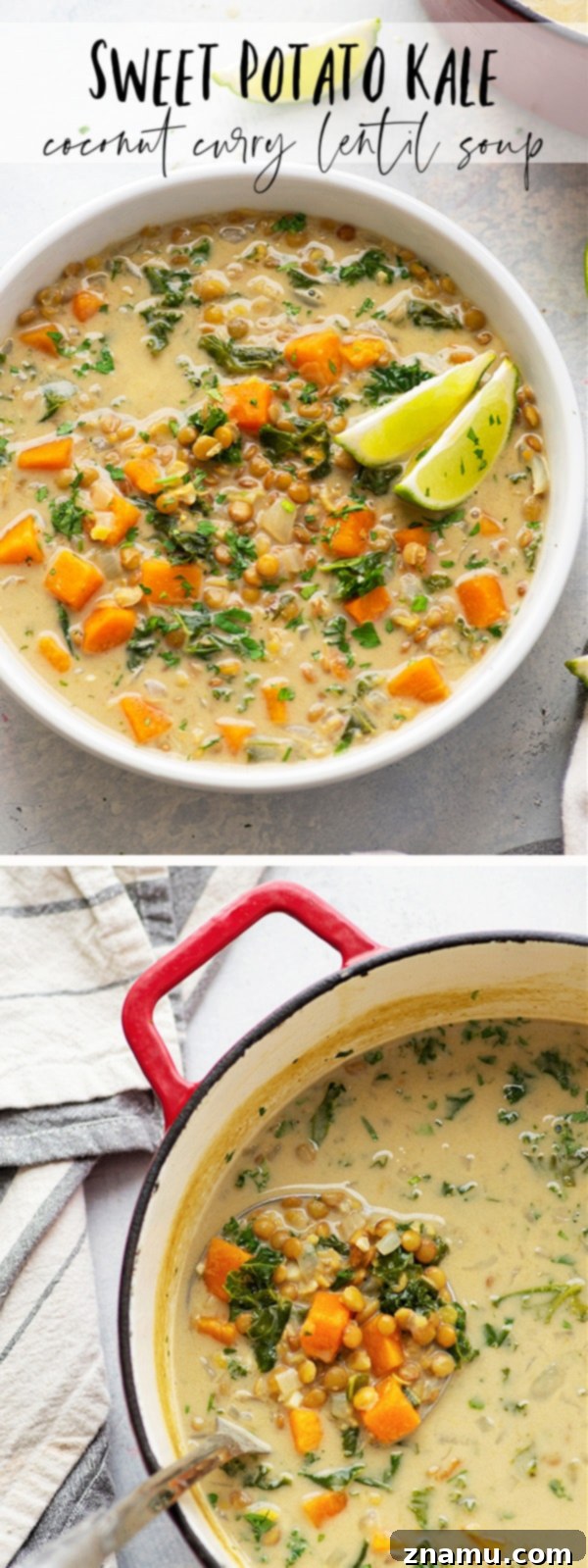 Nourishing Sweet Potato & Kale Coconut Curry Lentil Soup 6 This cozy coconut curry lentil soup features tender sweet potatoes, soft lentils, and wilted kale in an incredibly flavorful creamy coconut curry broth. - so easy to prepare and completely vegan!