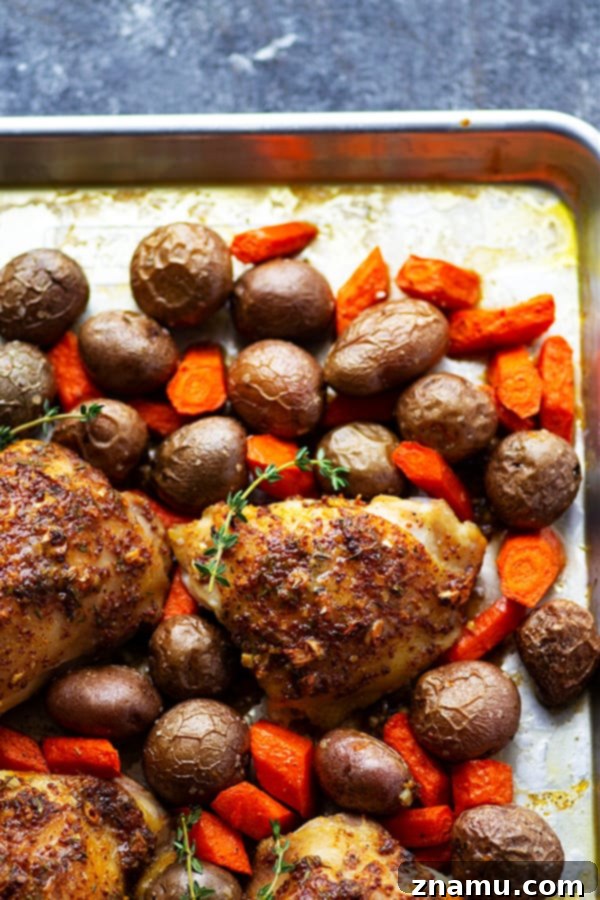 Golden Honey Mustard Chicken Thighs and Roasted Root Vegetables 5 This sheet pan honey mustard chicken roasts up ENTIRELY on one sheet pan and features tender red potatoes and carrots in the most amazing homemade honey mustard sauce!