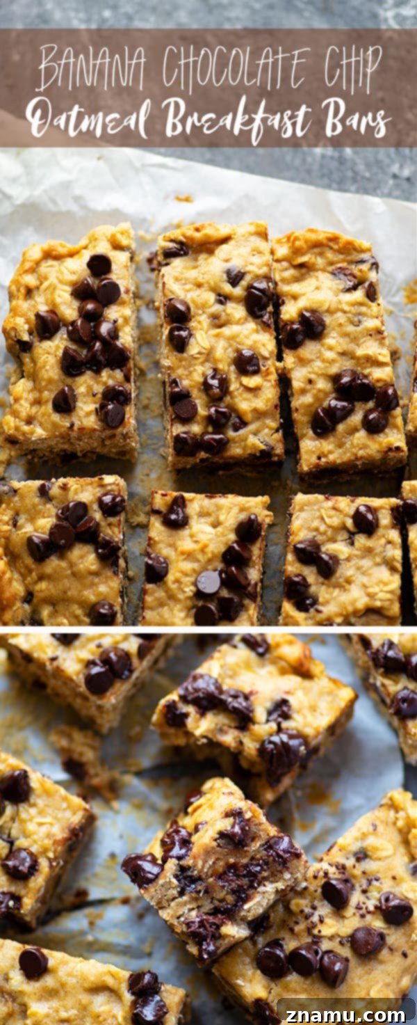 An overhead shot of an entire batch of banana chocolate chip oatmeal breakfast bars, freshly baked and golden brown.