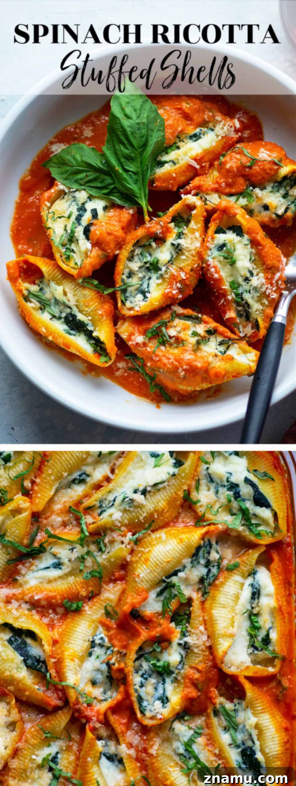 Spinach Ricotta Shells Bathed in Basil Vodka Sauce 6 A serving of spinach ricotta stuffed shells with basil vodka sauce, garnished with fresh basil, ready to be enjoyed.