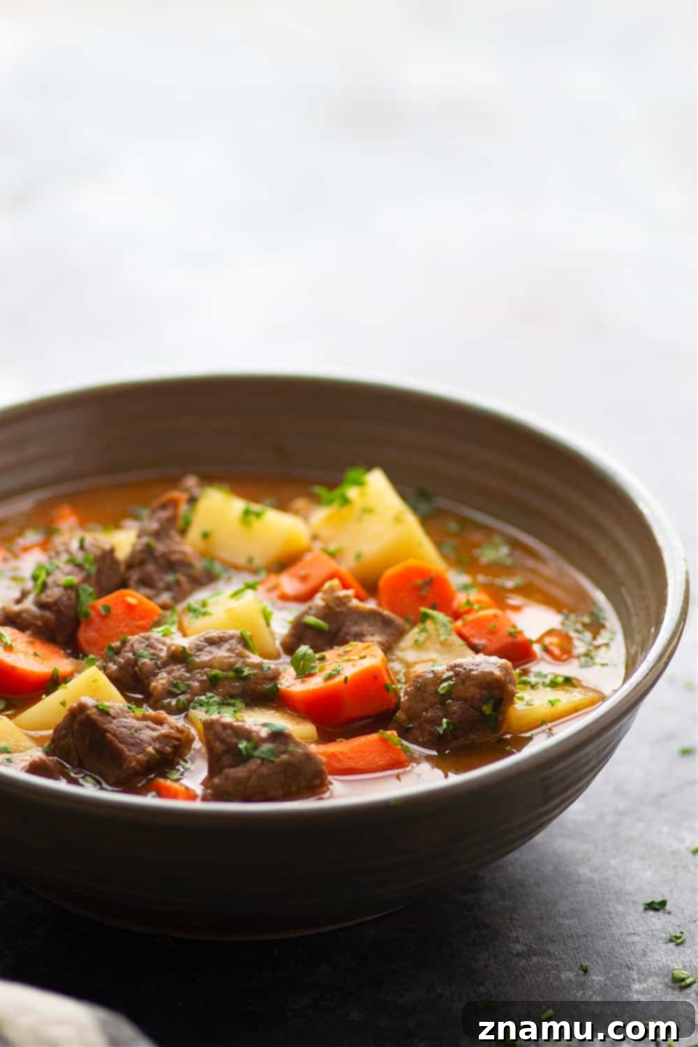 Rich Instant Pot Irish Beef Stew 3 Close-up of hearty Instant Pot Irish Beef Stew with tender beef and vegetables.