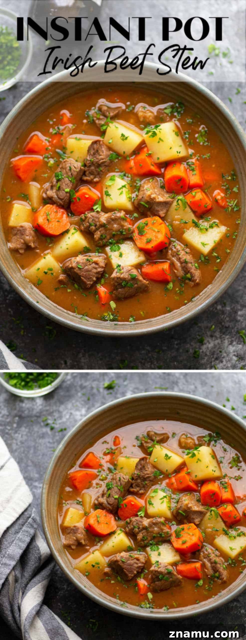 Rich Instant Pot Irish Beef Stew 6 Close-up of a bowl of Instant Pot Irish Beef Stew with crusty bread for dipping.