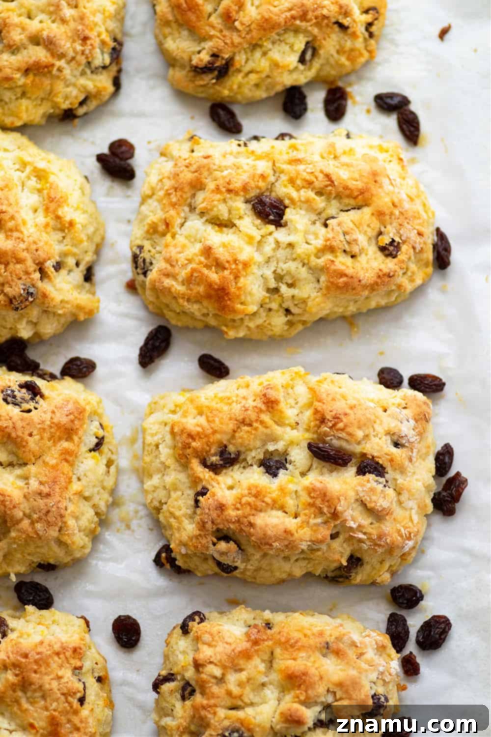 Traditional Irish Soda Scones 5 Everything you love about Irish soda bread in scone form! These Irish soda bread scones are buttery, flaky, and studded with soft raisins. - enjoy them hot from the oven with your favorite jam!