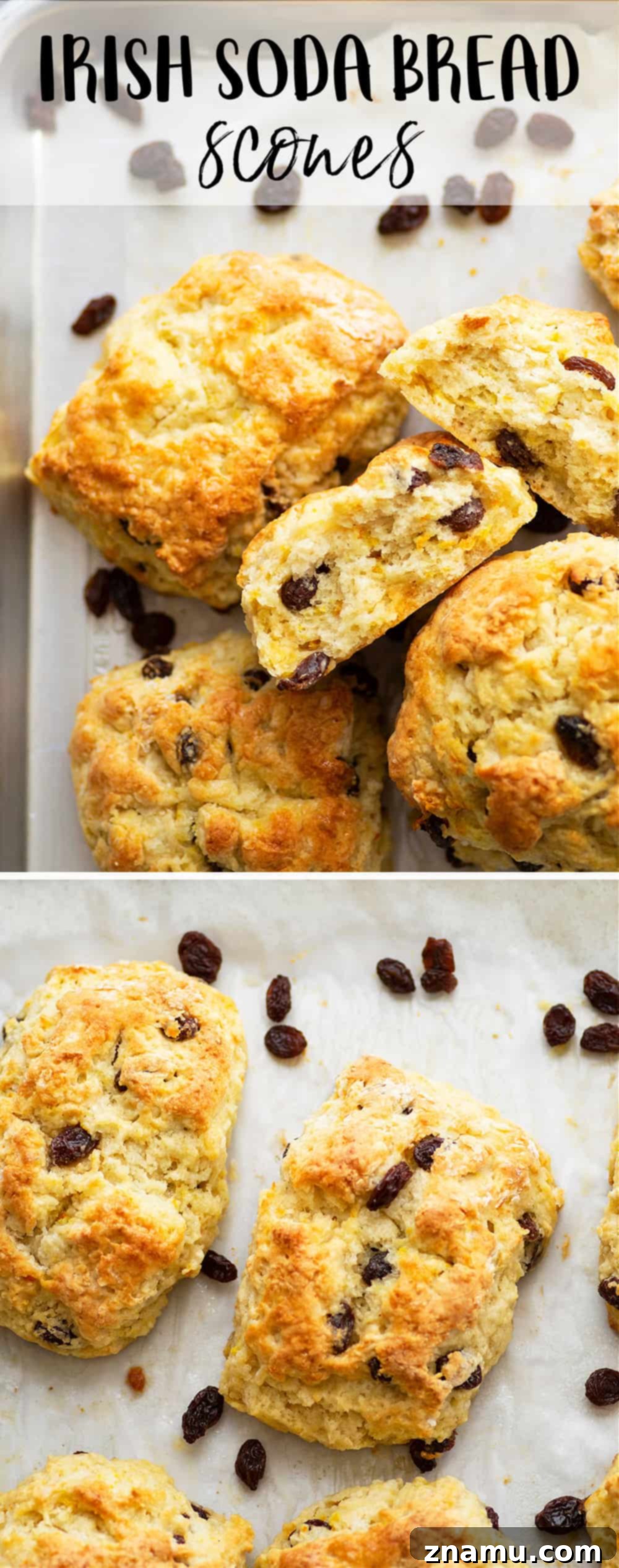 Traditional Irish Soda Scones 6 img 36495 5