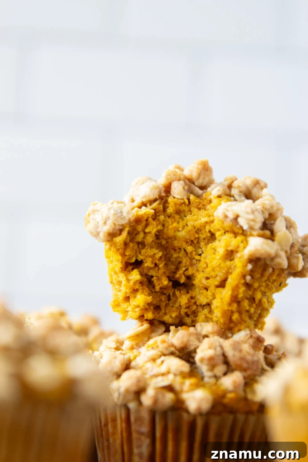 Rustic Pumpkin Oat Muffins 2 Soft and moist pumpkin oatmeal muffins are topped with a buttery oatmeal streusel and the perfect morning coffee sidekick!