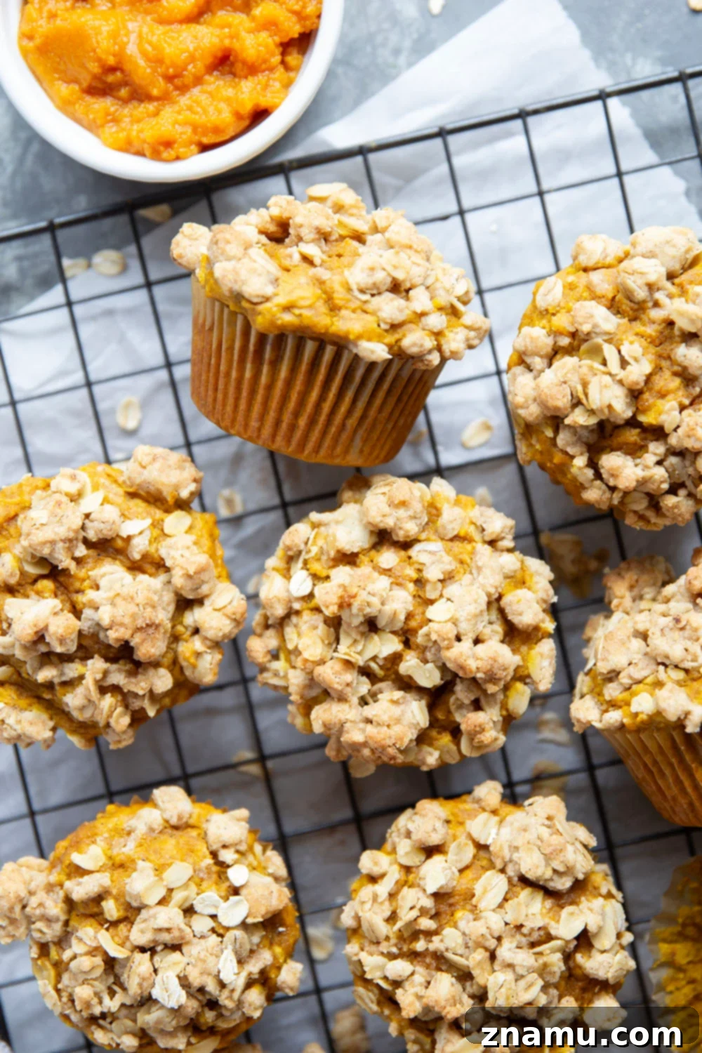 Rustic Pumpkin Oat Muffins 3 Soft and moist pumpkin oatmeal muffins are topped with a buttery oatmeal streusel and the perfect morning coffee sidekick!