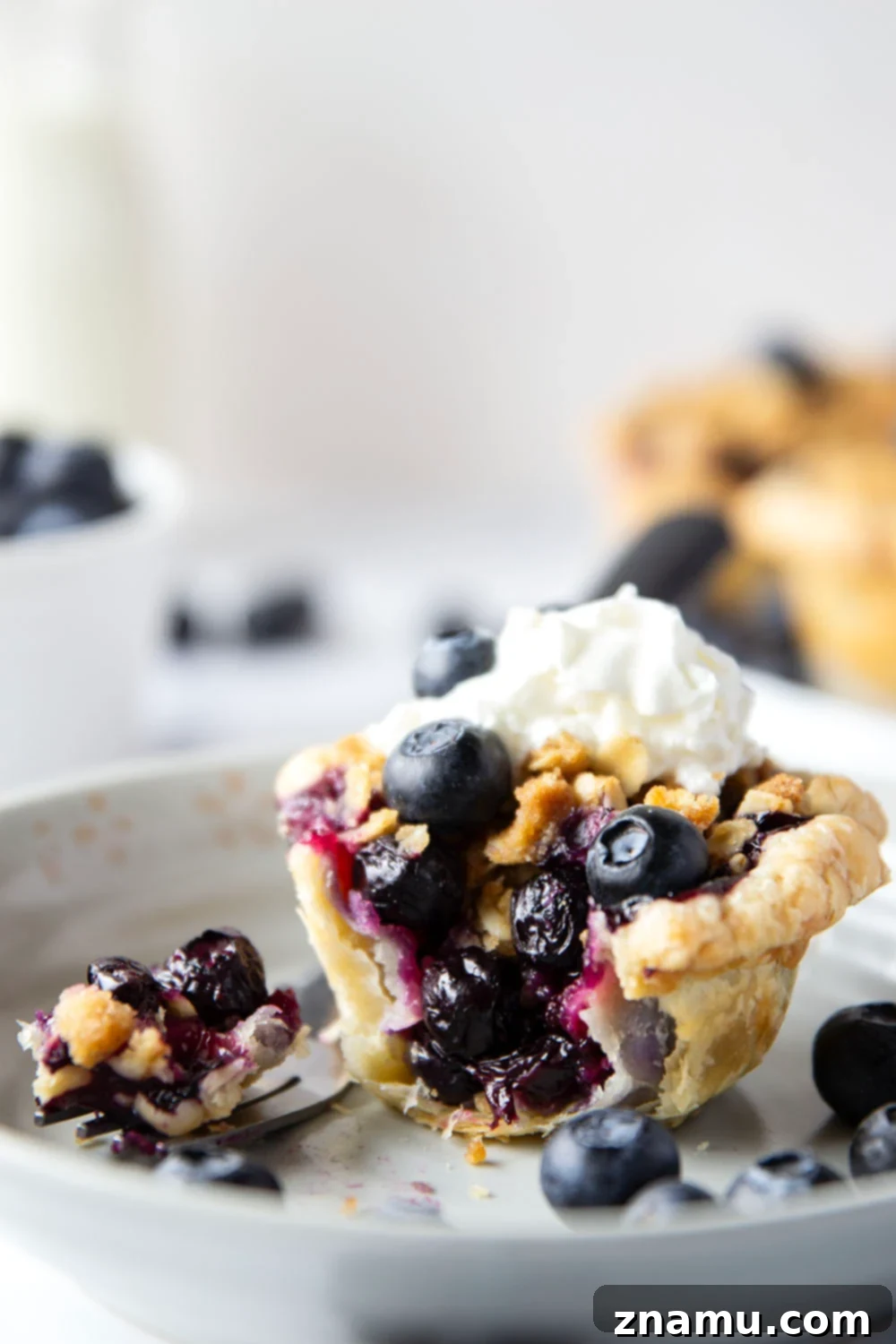 Oatmeal Cookie Streusel Blueberry Bites 2 Close-up of freshly baked mini blueberry tarts with golden oatmeal streusel and flaky crust.