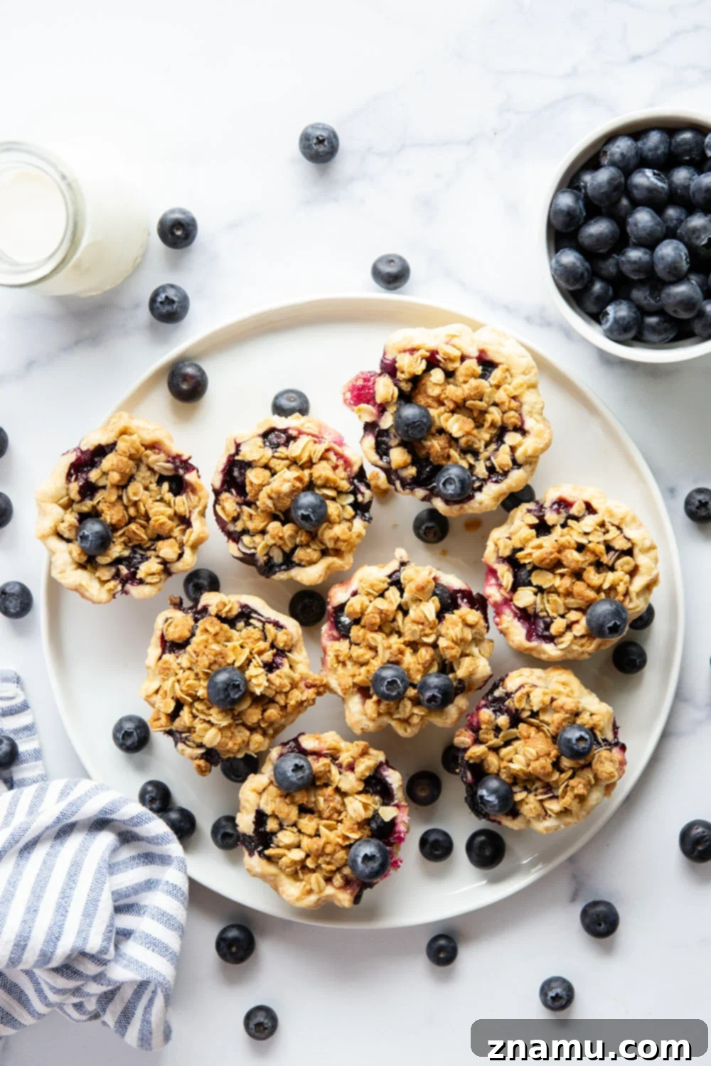 Oatmeal Cookie Streusel Blueberry Bites 3 Overhead view of several mini blueberry tarts arranged on a cooling rack, showcasing the golden streusel topping.