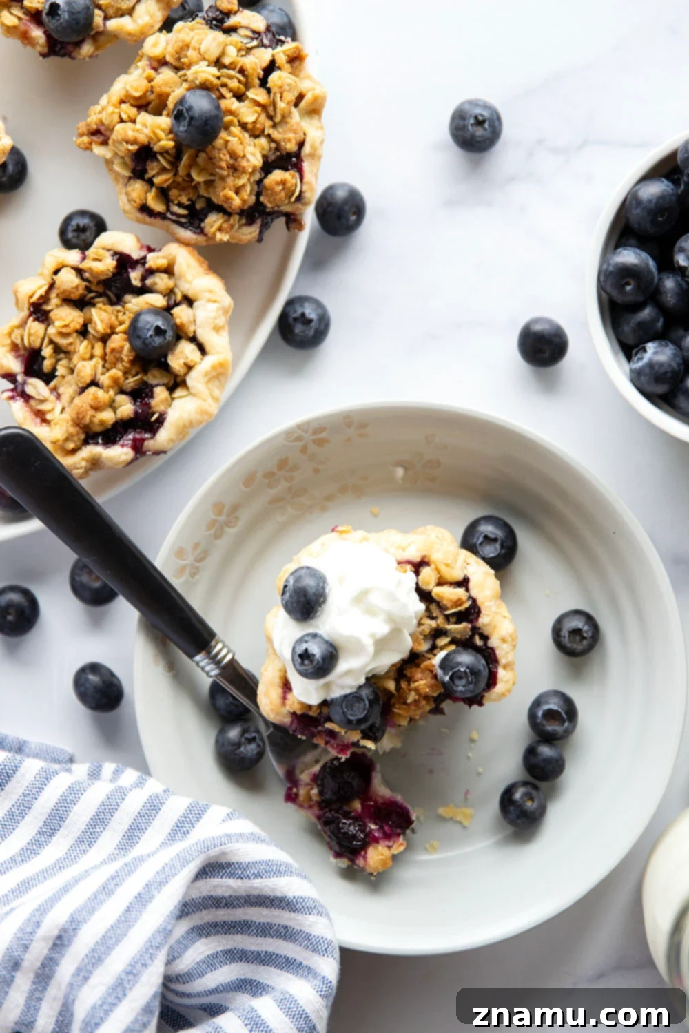 Oatmeal Cookie Streusel Blueberry Bites 4 Three mini blueberry tarts displayed closely, emphasizing the contrasting textures of the crust, filling, and streusel.