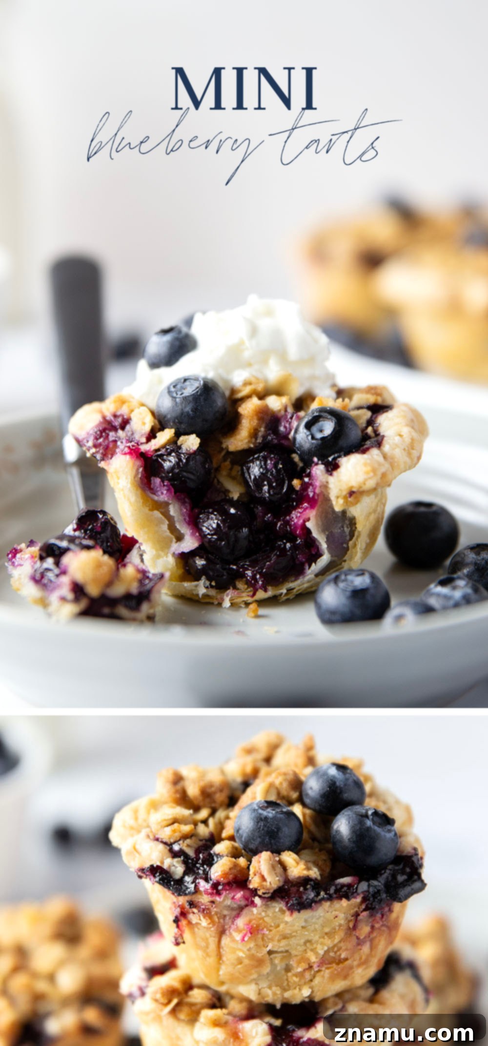 Oatmeal Cookie Streusel Blueberry Bites 7 A beautifully composed shot of four mini blueberry tarts, some with scoops of vanilla ice cream, against a rustic backdrop.
