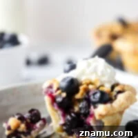 Oatmeal Cookie Streusel Blueberry Bites 8 These mini blueberry tarts feature a flaky pie crust, juicy blueberry filling, and lots of buttery oatmeal streusel baked on top.