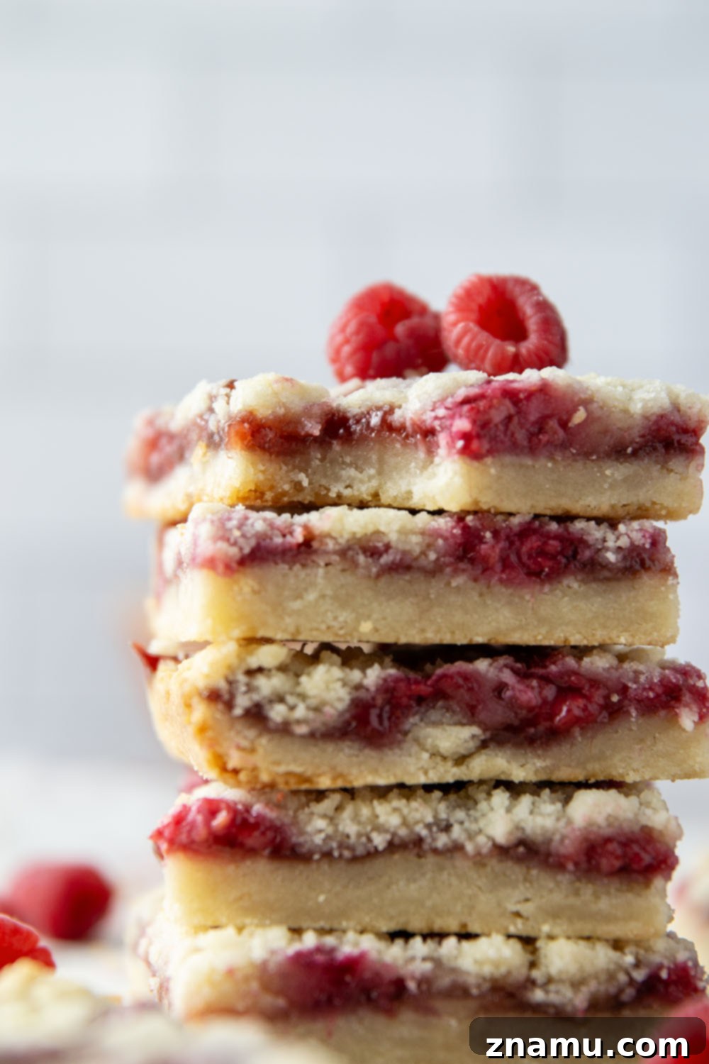 Crimson Shortbread Delights 2 Freshly baked raspberry shortbread bars with a golden crust and vibrant red filling.