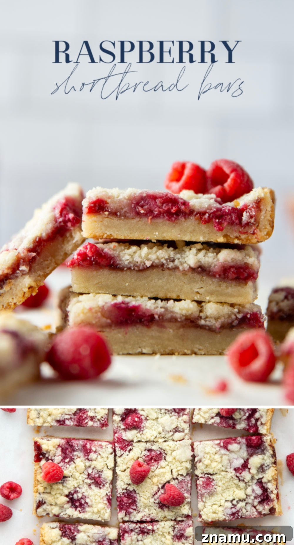 Crimson Shortbread Delights 7 Beautifully arranged raspberry shortbread bars on a cooling rack, ready to be served.