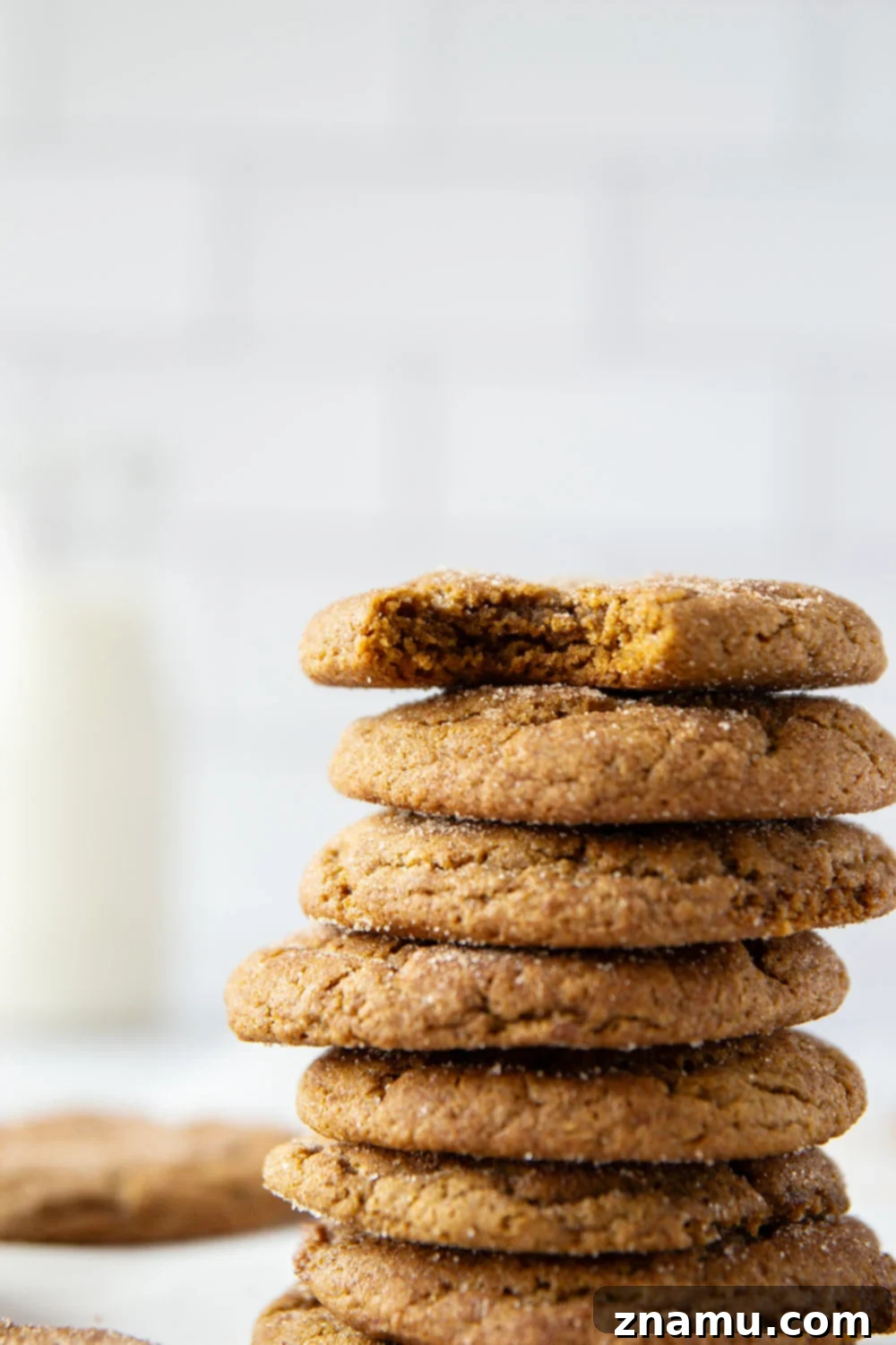 Ginger Sparks 2 Classic snickerdoodles and gingerbread cookies collide in these soft and chewy gingerdoodles that are heavenly paired with a cup of coffee!