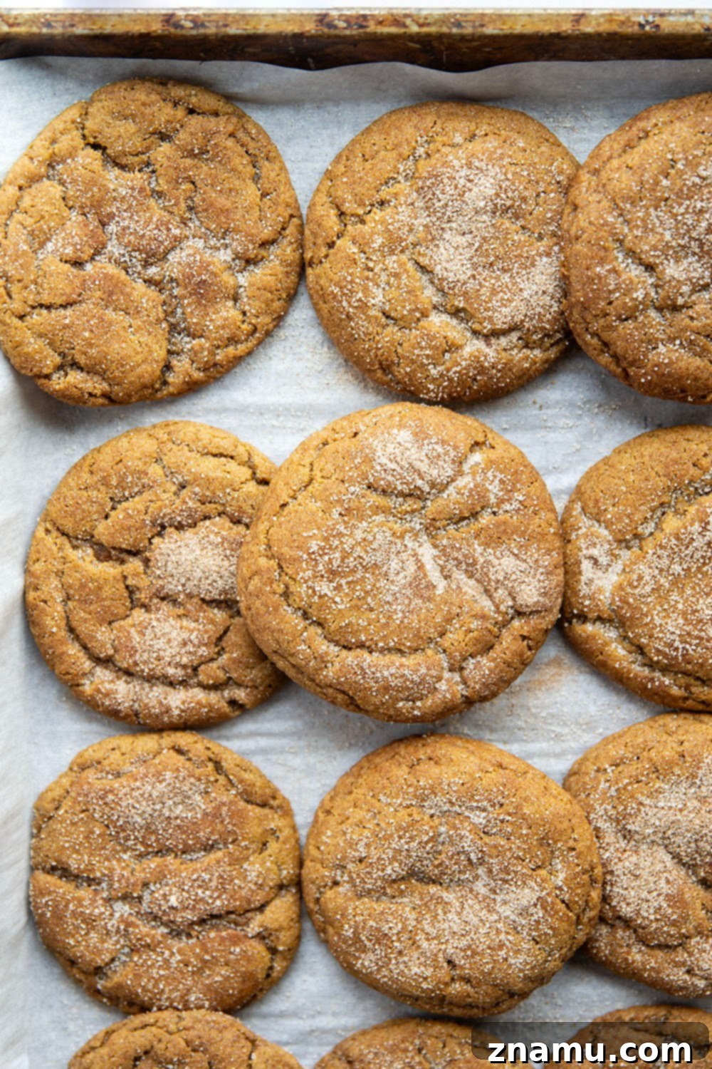 Ginger Sparks 3 Classic snickerdoodles and gingerbread cookies collide in these soft and chewy gingerdoodles that are heavenly paired with a cup of coffee!