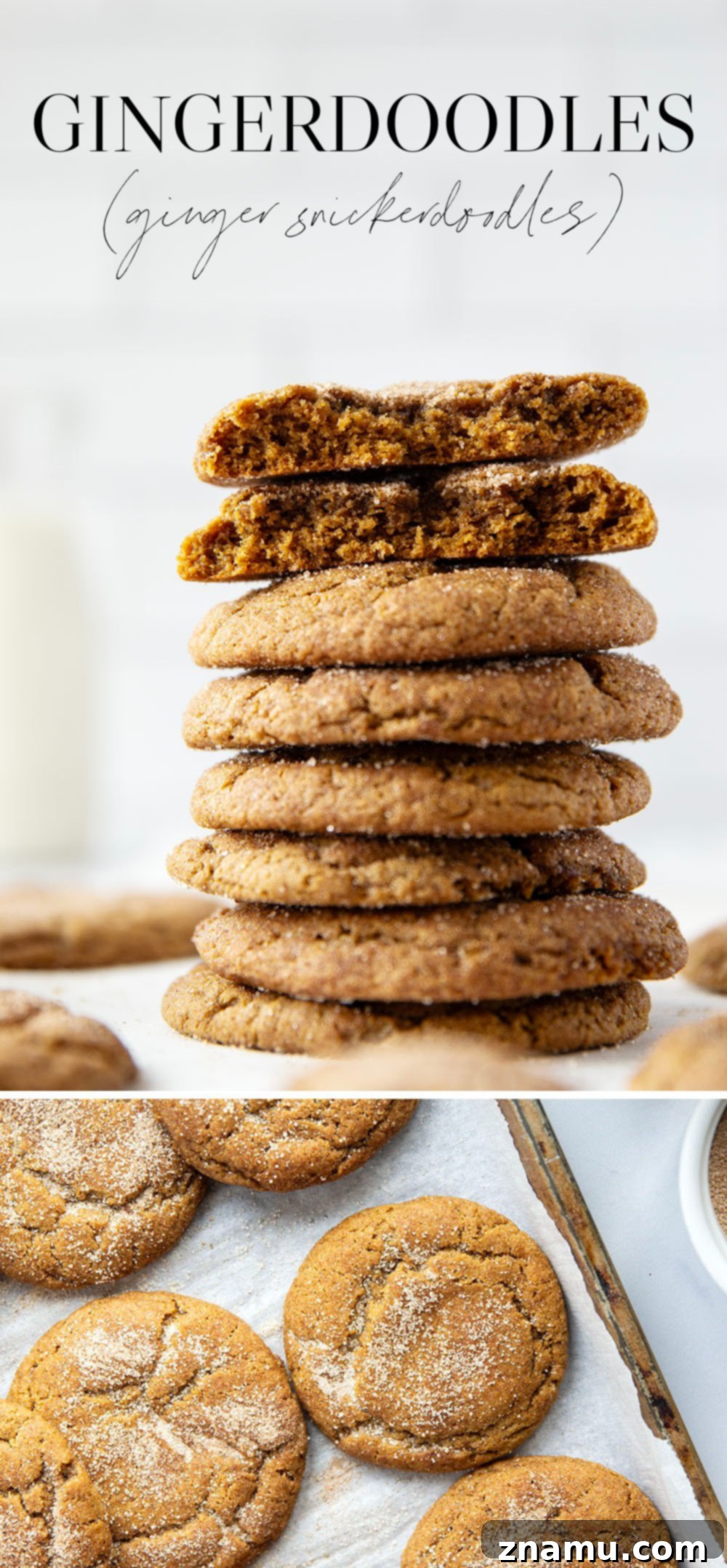 Ginger Sparks 7 Classic snickerdoodles and gingerbread cookies collide in these soft and chewy gingerdoodles that are heavenly paired with a cup of coffee!